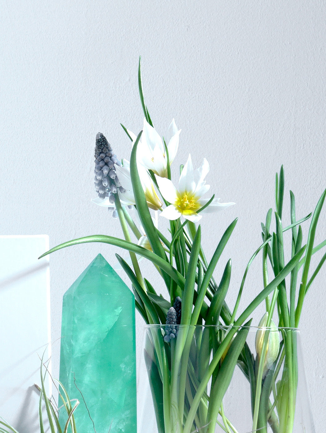 LAPERICUM(ラペリカム)